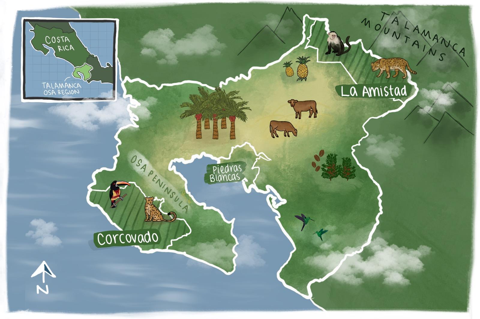 The Talamanca-Osa Region in Southern Costa Rica. Art Credit: Cameryn Brock